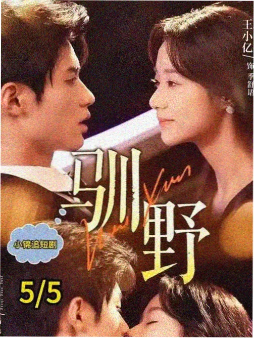 长街灯火免费电视剧全集
